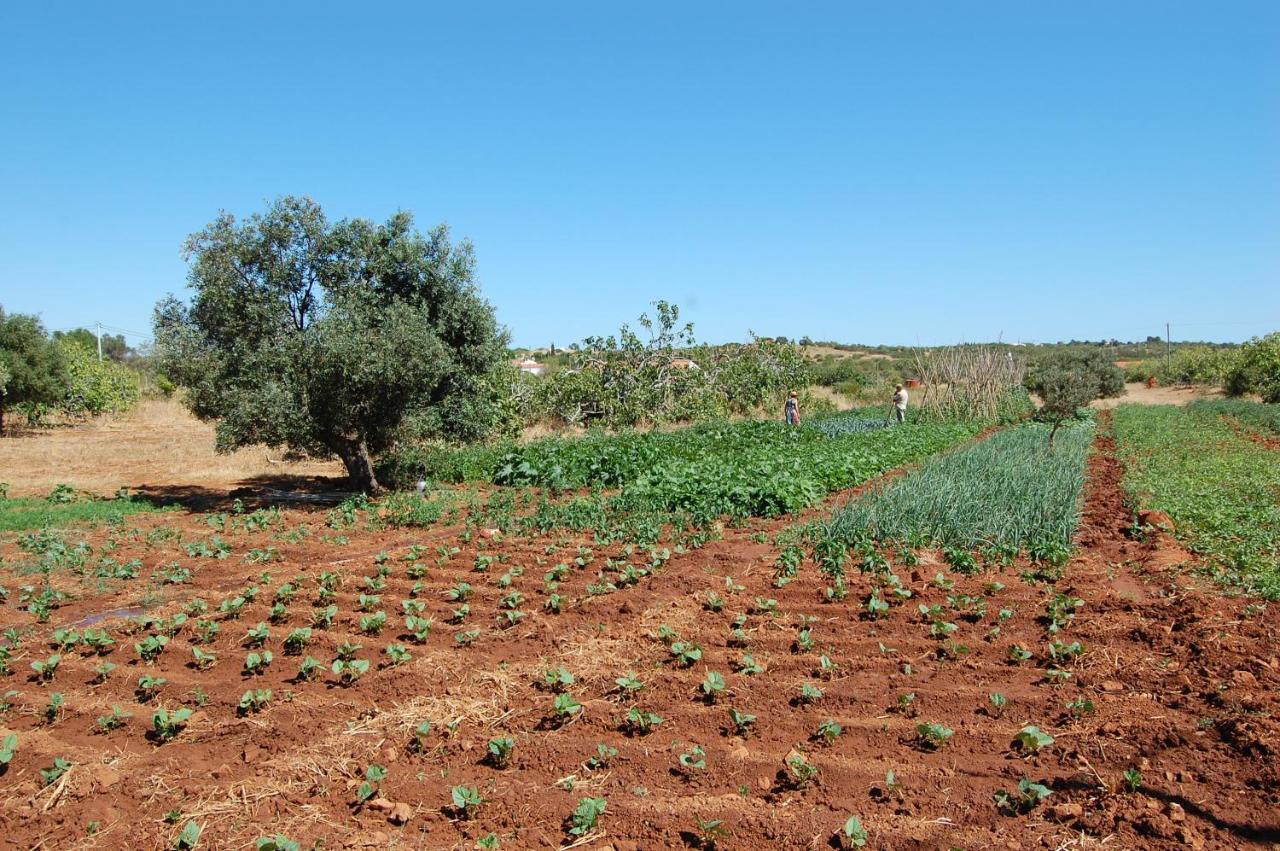 הוילה לאגוּ‏ש Quinta Do Maranhao מראה חיצוני תמונה